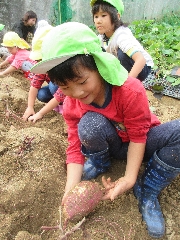 芋掘り🍠